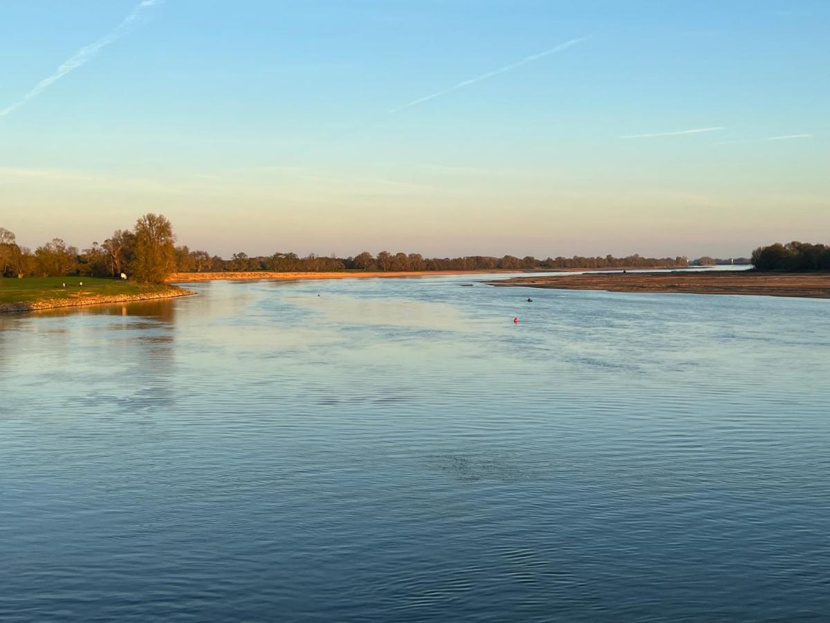 Gite Loirizon Vue Loire 4 Personnes Ingrandes  Εξωτερικό φωτογραφία